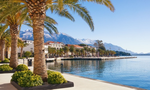 İstanbul - Tivat